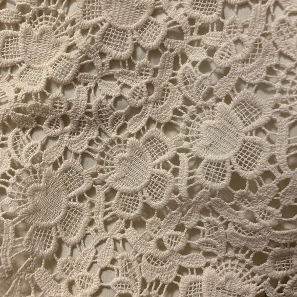 NWT Loft skirt - Picture 3 of 6